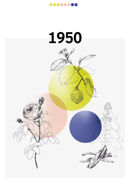 Queen Jubilee Platinum Frgrance
