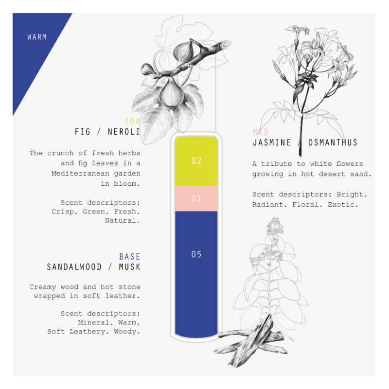 Bois Lumiere Formula Card