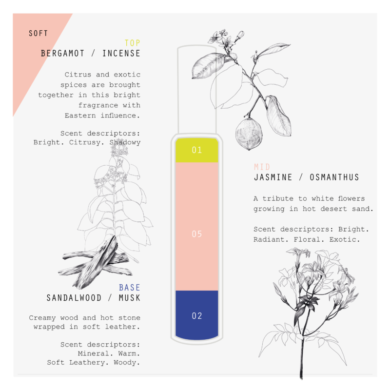 Beige Santal Formula Card