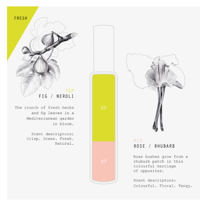 Electric Fig Formula Card